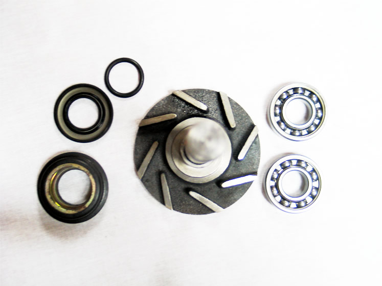 STEYR REPAIR KIT / 407060601