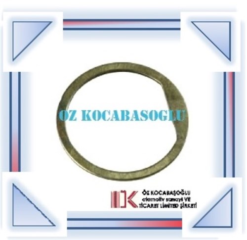 CASE-IH RING / 247556A1