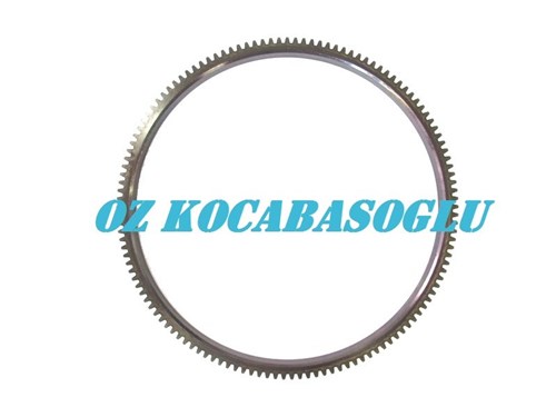CASE-IH RING GEAR / 3055133R1